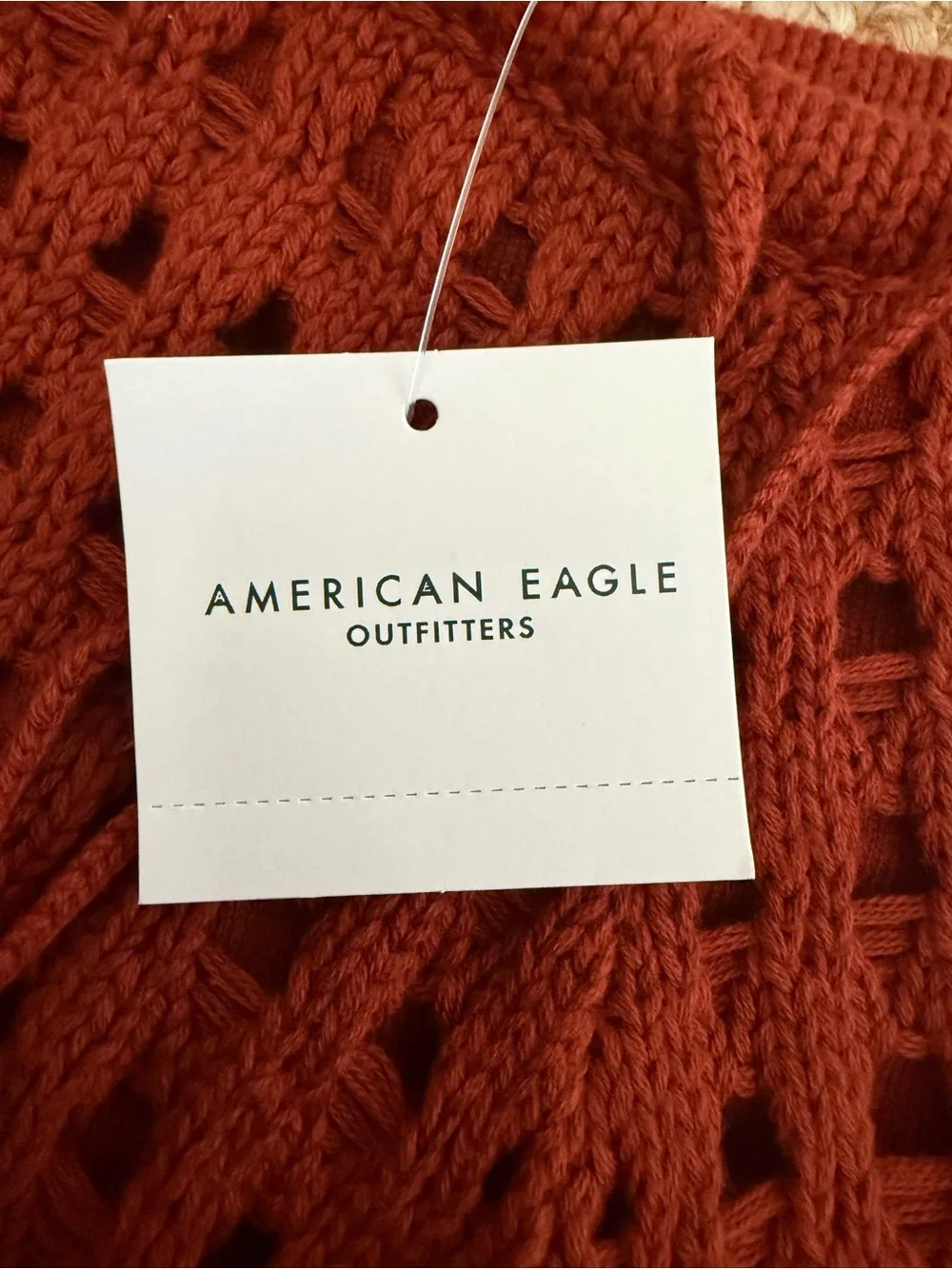 American Eagle Outfitters Crochet Drawstring Shorts in Rust